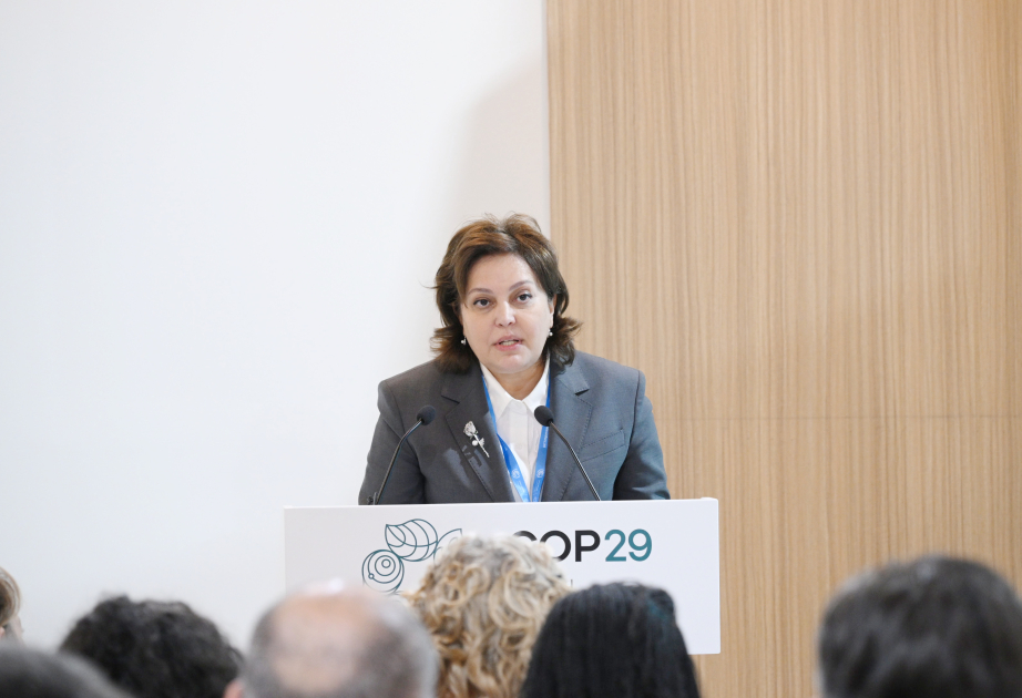 COP29-da Xəzər müzakirə olunub: Dənizin səviyyəsi tarixdə qeydə alınan ən aşağı həddə yaxındır