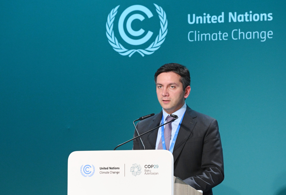 COP29-da “Beynəlxalq iqlim təşəbbüslərinin tamamlayıcılığı və davamlılığı” mövzusunda dəyirmi masa keçirilib