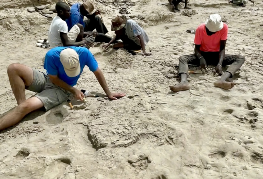 Aşkarlanmış ayaq izləri müasir insanın uzaq qohumları ilə eyni məkanda yaşadığını göstərir - TƏDQİQAT